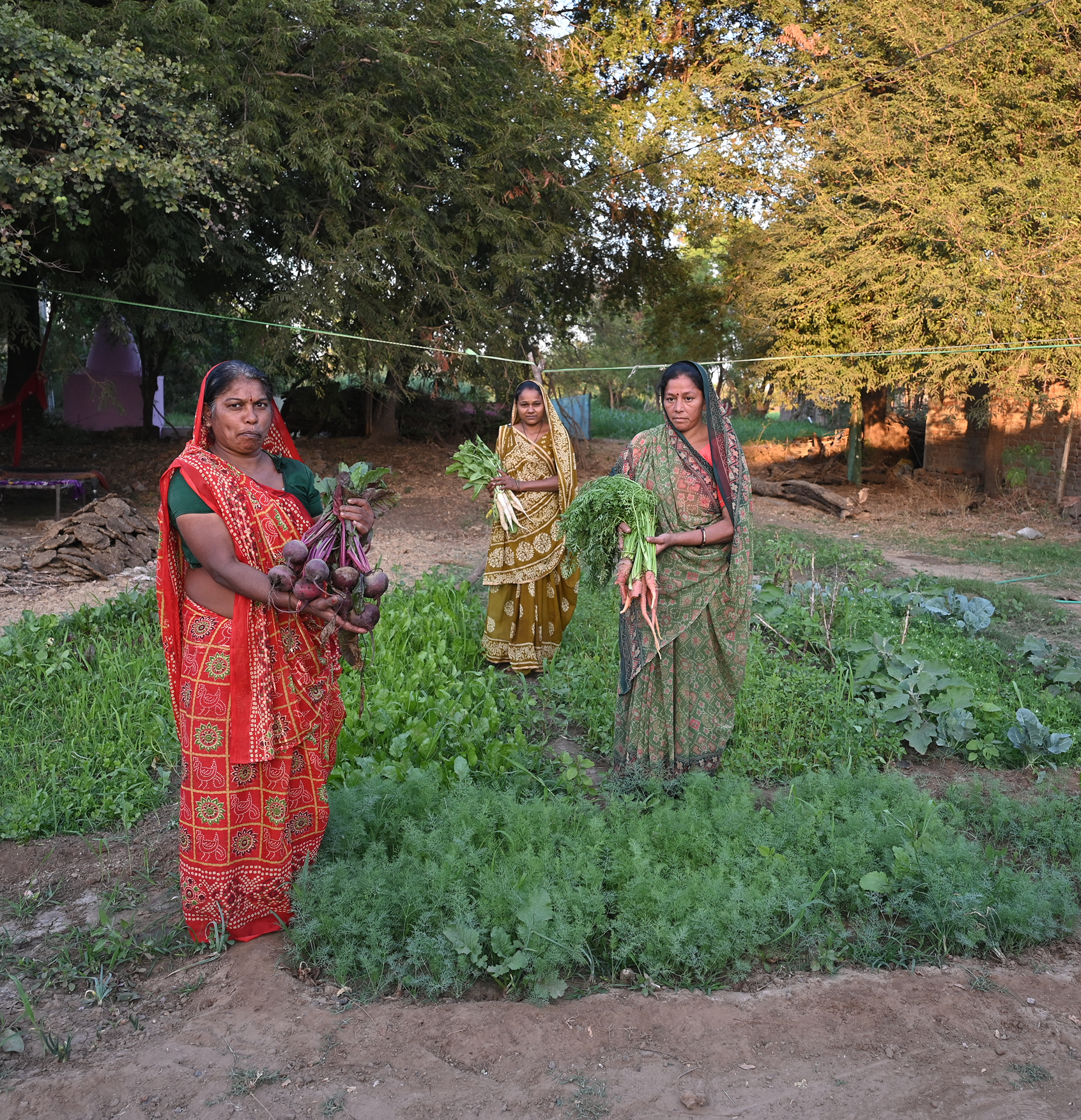 aatapi-sustainable-livelihoods