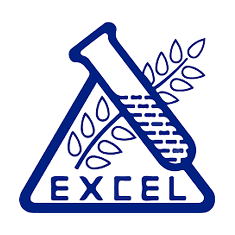 excel-logo