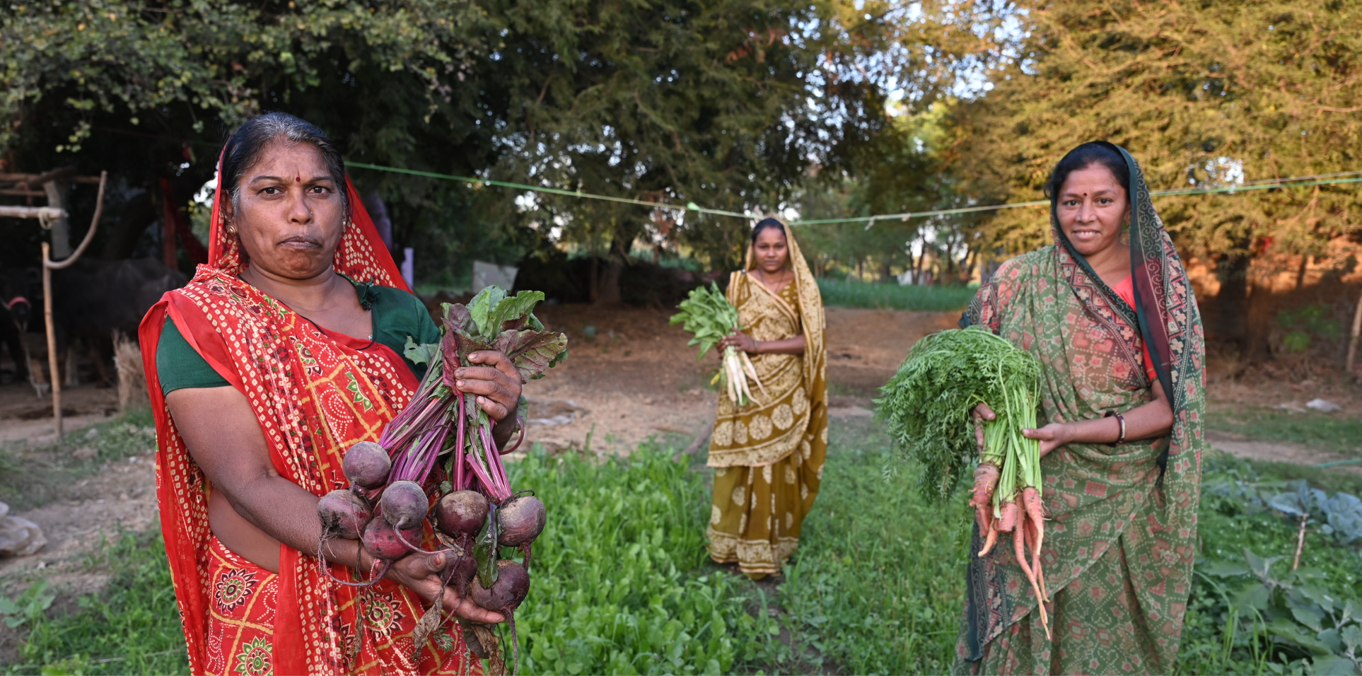 natural-farming-imgs