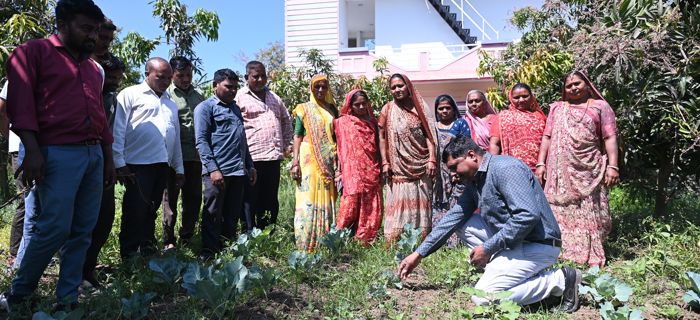 sustainable-agriculture-and-climate-resilience-img