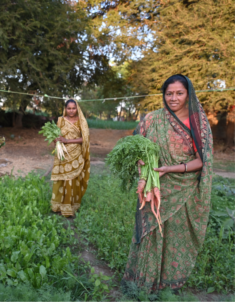 Sustainable Agriculture